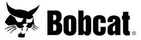 Bobcat
